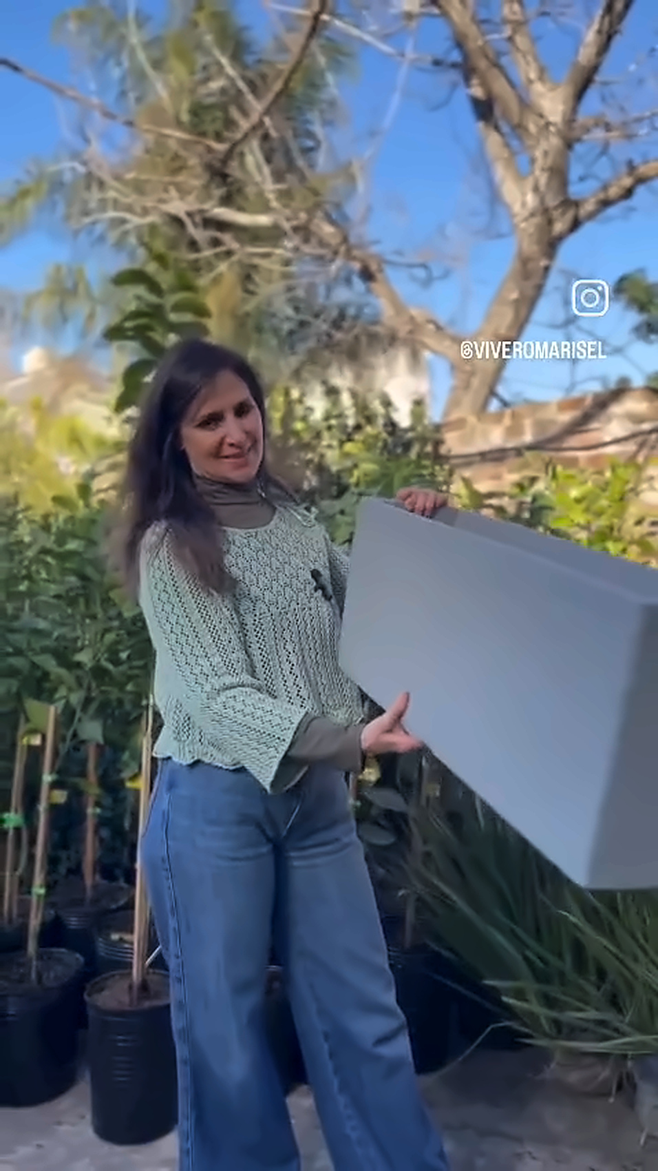 Cómo elegir una planta