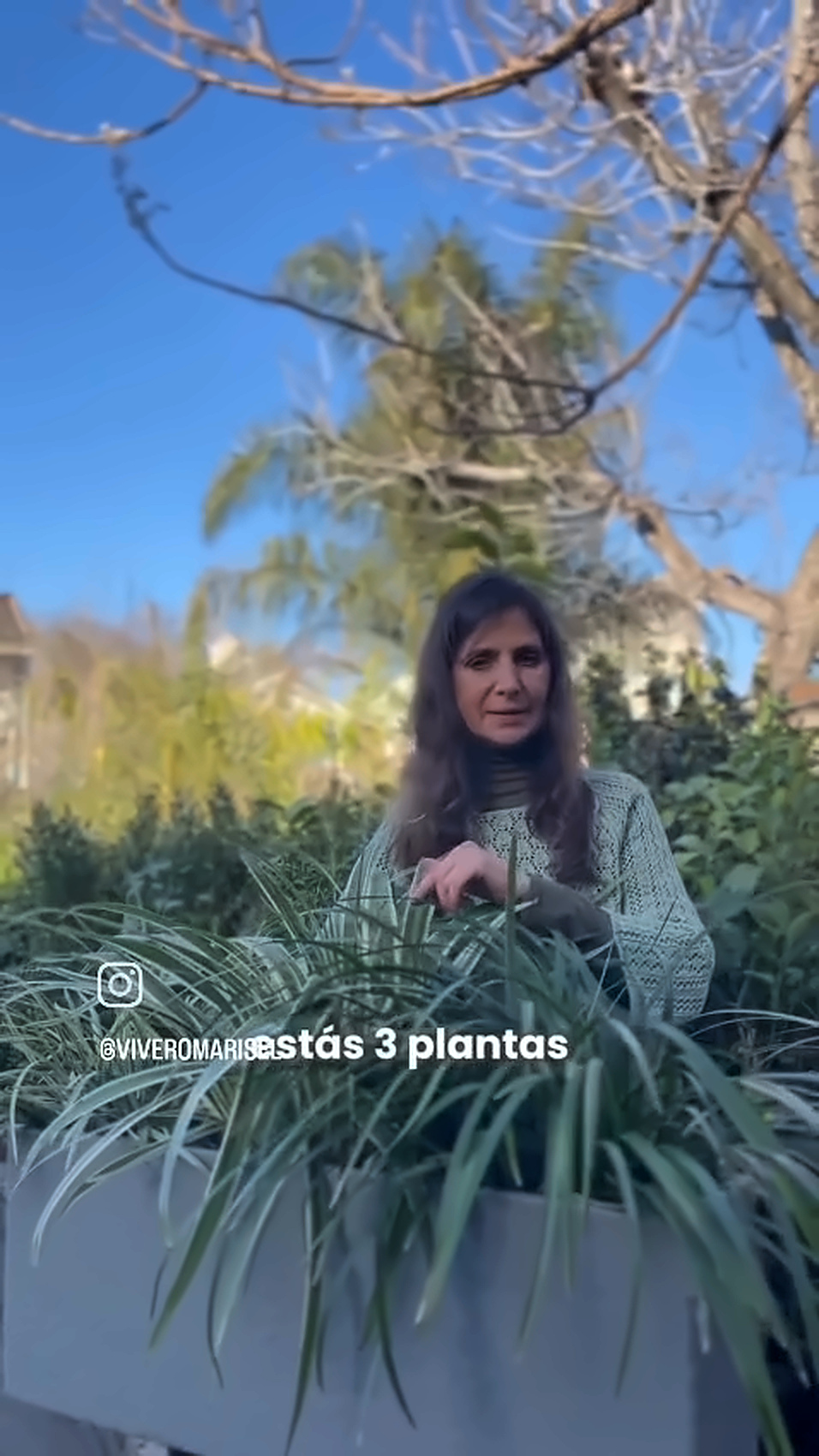 Ubicación y luz de las plantas