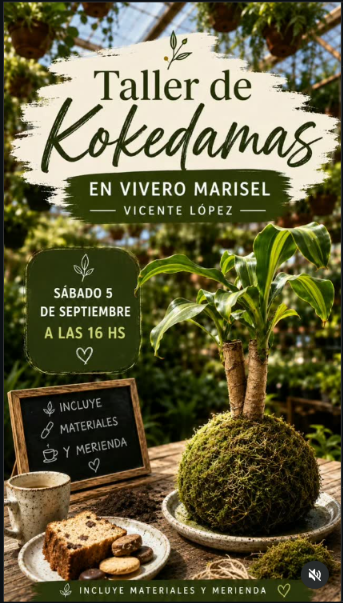 Taller de Kokedamas · 5 de septiembre en Vivero Marisel