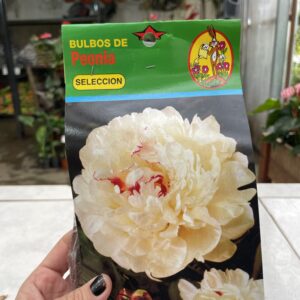 Bulbos de Peonia