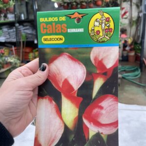 bulbos de calas